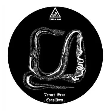 Consilium by Verset Zero - album cover