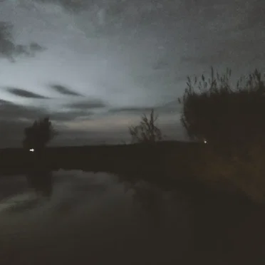 Echoes of a Fading Existence