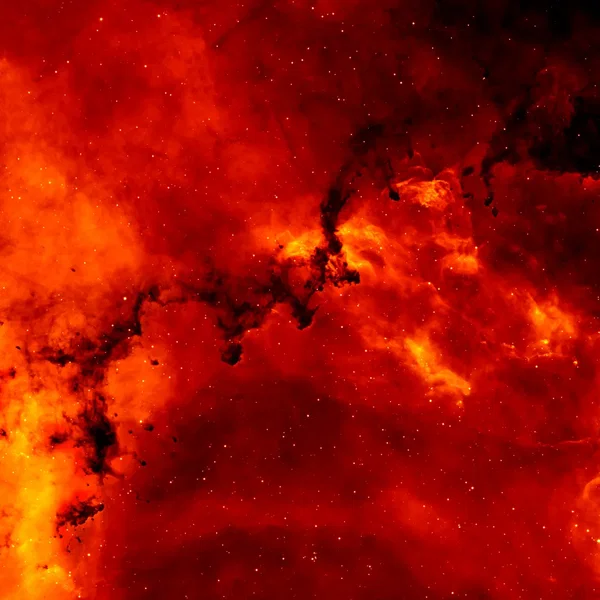 Stellar Remnants of a Crimson Void