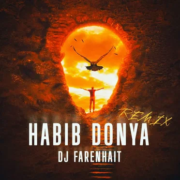 DJ Farenhait - Habib (Donya Remix)