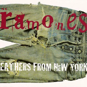 Leathers From New York