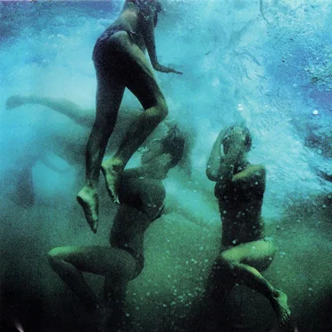 Naissance des pieuvres