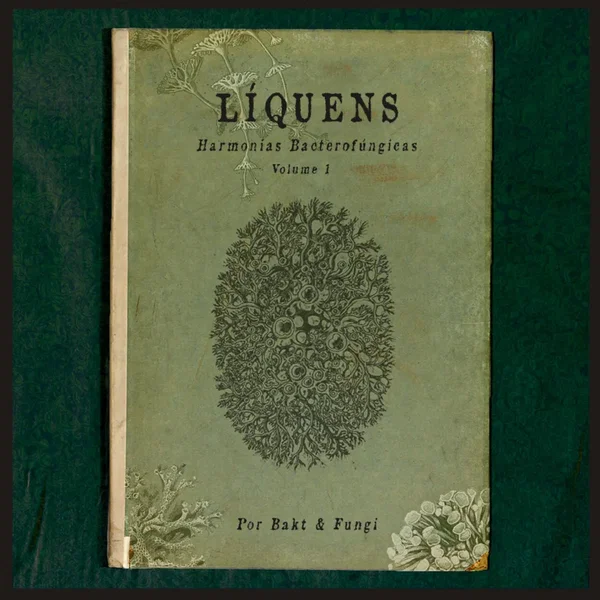 Líquens (Parceria com Fungi)