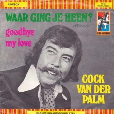 Waar ging jij heen? / Goodbye My Love