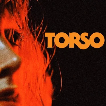 A Crash Course in Terror by TORSO - album cover