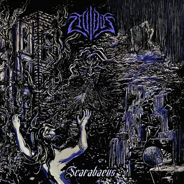 Scarabaeus