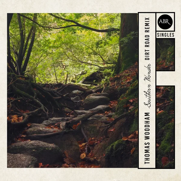 Southern Wonder (Dirt Road remix)