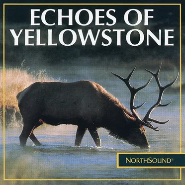 Echoes of Yellowstone