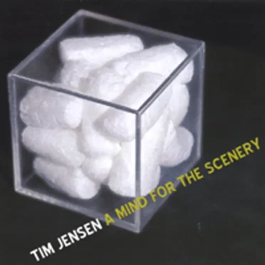 A Mind for the Scenery by Tim Jensen - album cover
