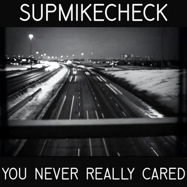 You Never Really Cared by Supmikecheck - album cover