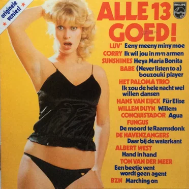 Alle 13 goed! Deel 16 by Various Artists - album cover