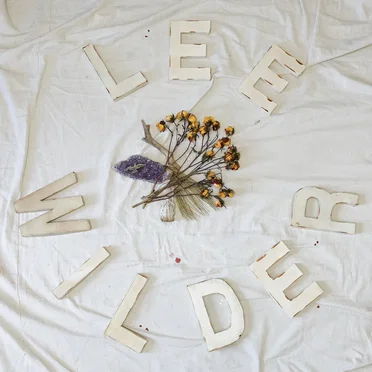 Lee Wilder
