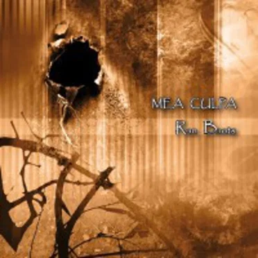 Mea culpa