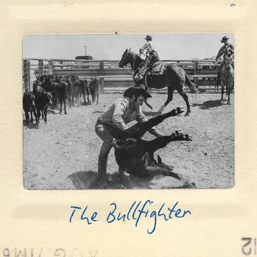 The Bullfighter