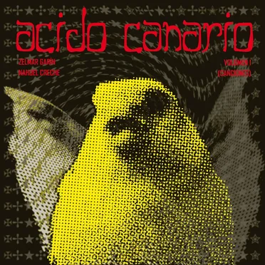 Canciones by Ácido Canario - album cover