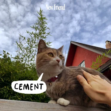 Cement by New Friend - album cover