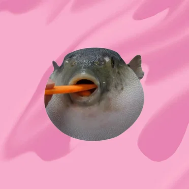 Pufferfish Type Beat