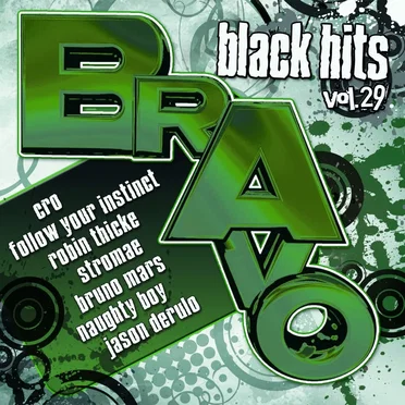 Bravo Black Hits, Vol. 29 by Various Artists - album cover