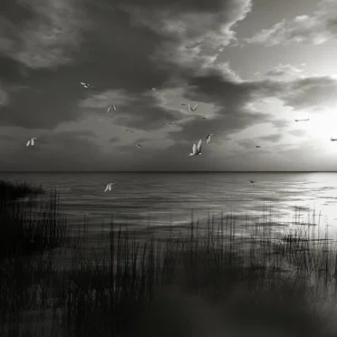 The Lake