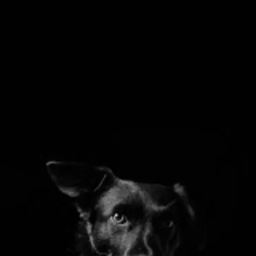 Catchpenny & Cosmos EP