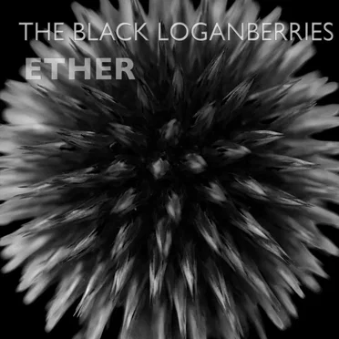 The Black Loganberries