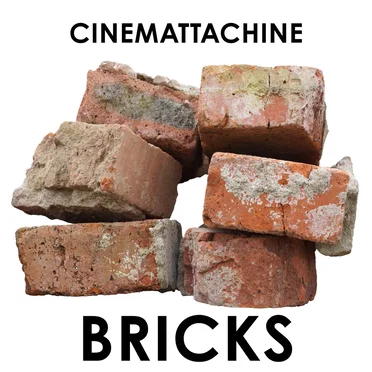 Bricks