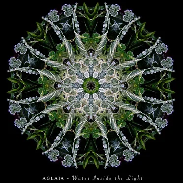 Water Inside the Light