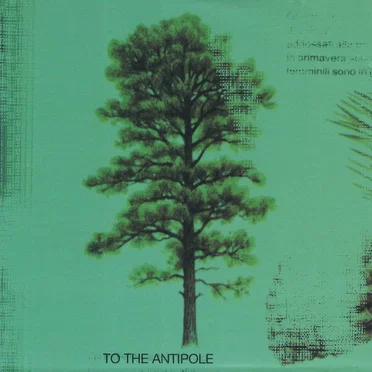 To the antipole