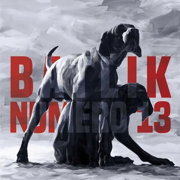 Numéro 13