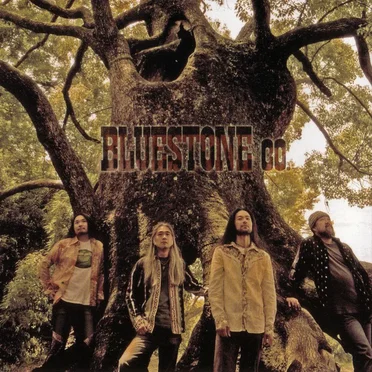 Bluestone Co. by Chris Duarte & Bluestone Co. - album cover