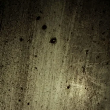 Sheltered Observation of the Outsider