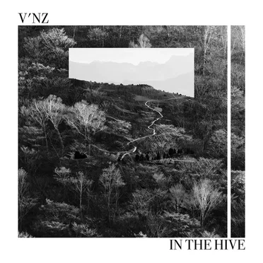 In the Hive by V'NZ - album cover