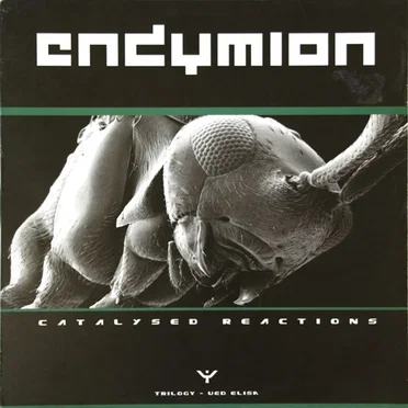 Catalysed Reactions Part 3