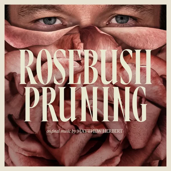 Rosebush Pruning