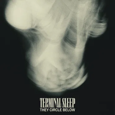 They Circle Below by Terminal Sleep - album cover