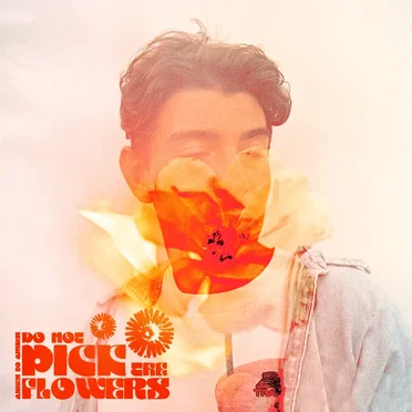 Do Not Pick The Flowers by Ashes to Amber - album cover