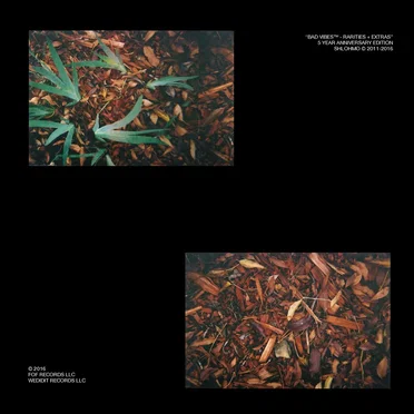 Bad Vibes - Rarities & Extras