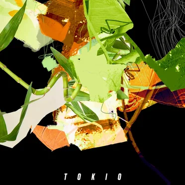 Tokio by MARIA Die RUHE - album cover