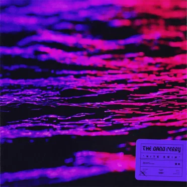 NITE SWIM by The Band Perry - album cover