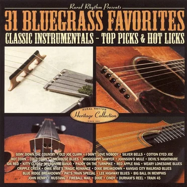 31 Bluegrass Favorites:Classic Instrumentals - Top Picks & Hot Licks by Various Artists - album cover