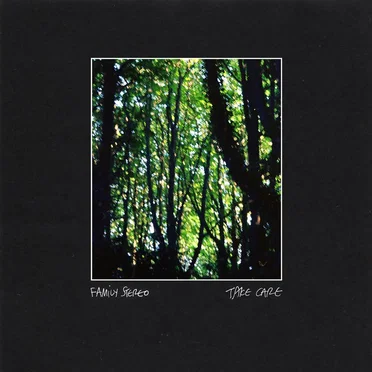 Take Care by Family Stereo - album cover