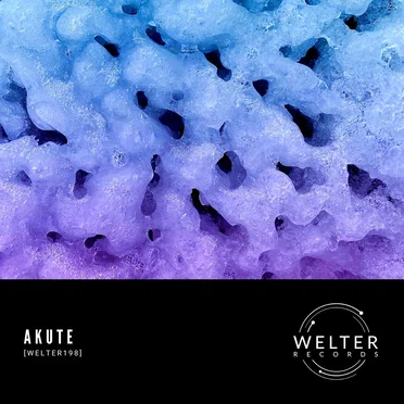 WELTER198 by Akute - album cover