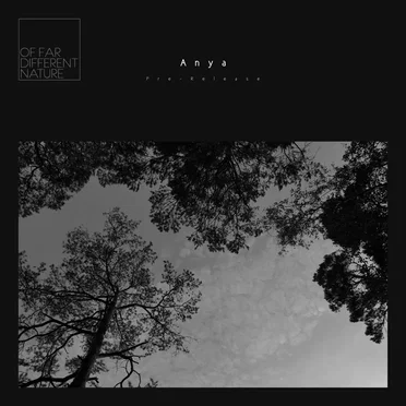 Anya (pre‐release single) by Of Far Different Nature - album cover