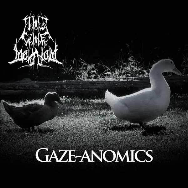 Gaze‐Anomics
