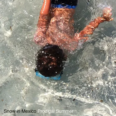 Prodigal Summer by Snow in Mexico - album cover