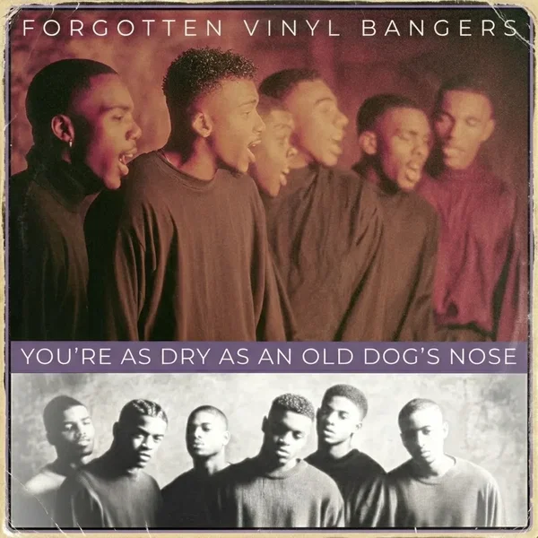 You’re as Dry as an Old Dog’s Nose