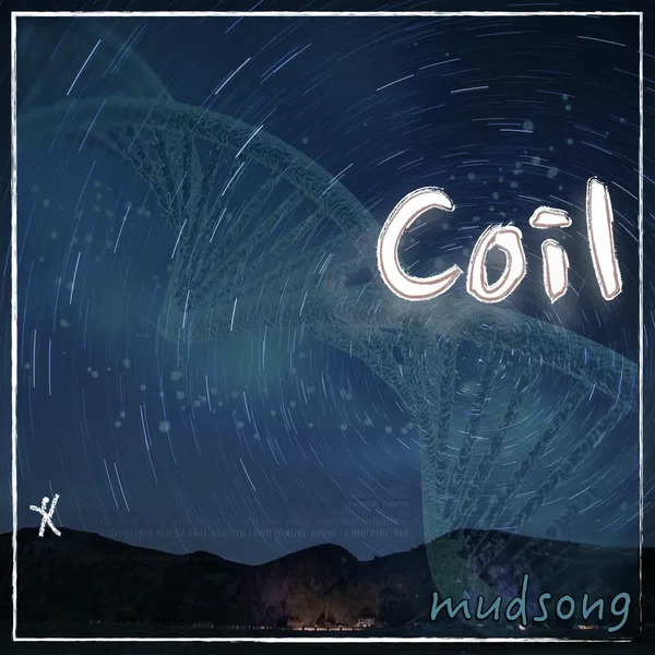 Coil