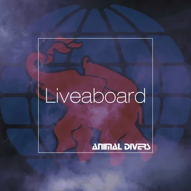 Liveaboard