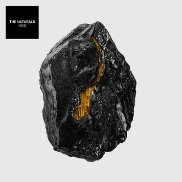 Hive by The Naturals - album cover