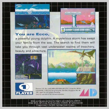 Ecco Adventures! by R E A L I T Y テレビ - album cover